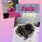 Perla