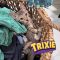 Trixie